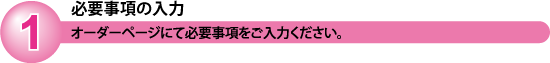必要項目の入力